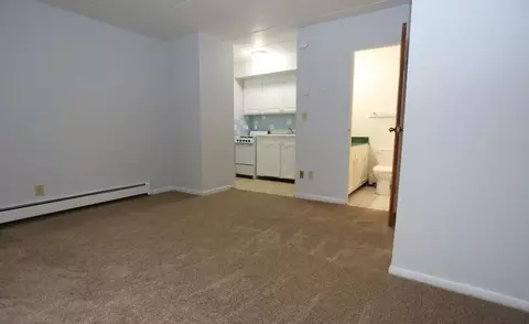 1446 Alphada Ave, Akron, OH 44310 photo 26