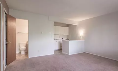 1446 Alphada Ave, Akron, OH 44310 photo 36