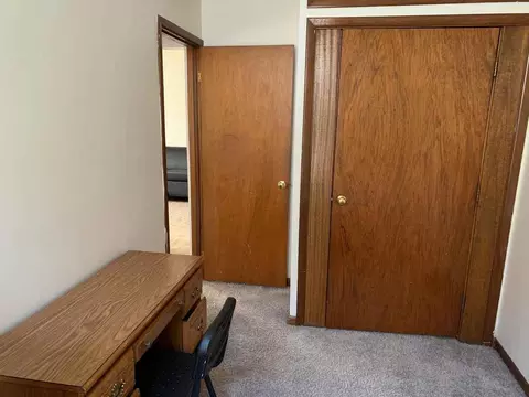234 Langdon St, Madison, WI 53703 photo 42