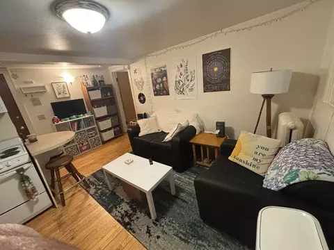 234 Langdon St, Madison, WI 53703 photo 21