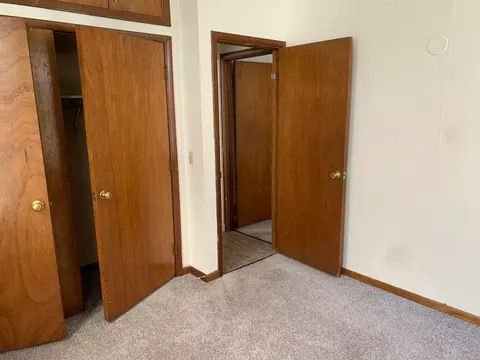 234 Langdon St, Madison, WI 53703 photo 39