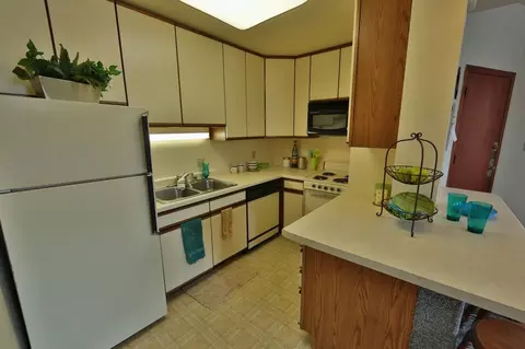 234 Langdon St, Madison, WI 53703 photo 54