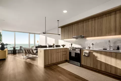 1000 S Michigan Ave, Chicago, IL 60605 photo 6