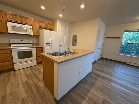 52 Commons Cir, Snowmass, CO 81654