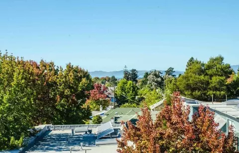 1901 Dwight Way, Berkeley, CA 94704 photo 7