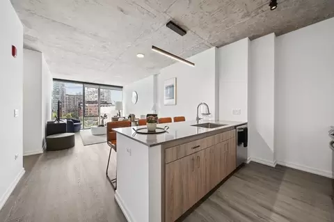 808 N Cleveland Ave, Chicago, IL 60610