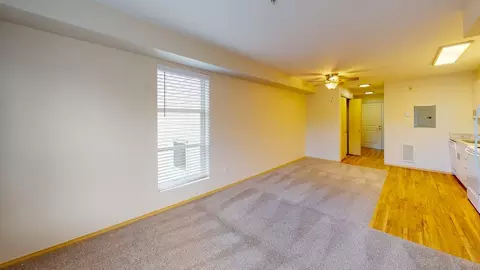 3215 NE 143rd St, Seattle, WA 98125 photo 11