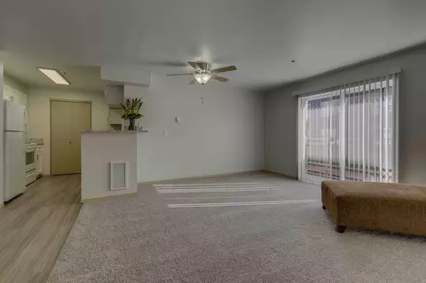 3215 NE 143rd St, Seattle, WA 98125 photo 29