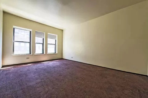 5015 S Champlain Ave, Chicago, IL 60615 photo 41