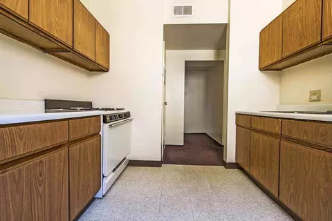 5015 S Champlain Ave, Chicago, IL 60615 photo 39