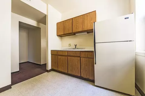 5015 S Champlain Ave, Chicago, IL 60615 photo 38