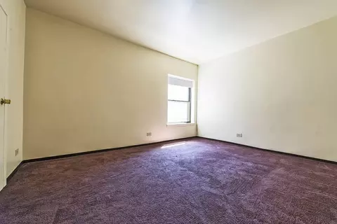 5015 S Champlain Ave, Chicago, IL 60615 photo 28