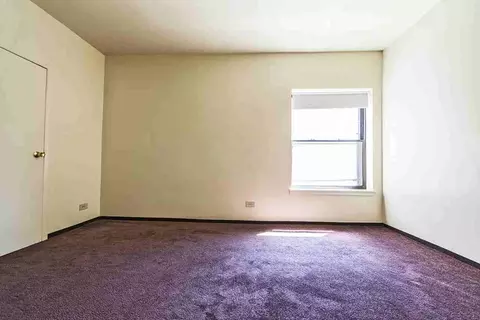 5015 S Champlain Ave, Chicago, IL 60615 photo 29