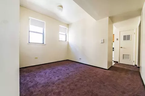 5015 S Champlain Ave, Chicago, IL 60615 photo 42