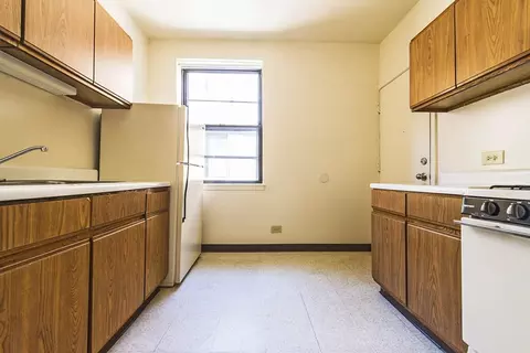 5015 S Champlain Ave, Chicago, IL 60615 photo 37