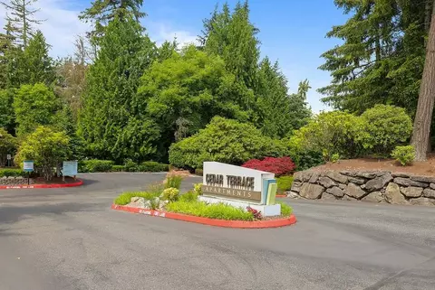 3205 115th Ave NE, Bellevue, WA 98004 photo 36