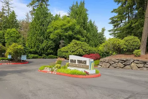 3205 115th Ave NE, Bellevue, WA 98004 photo 36