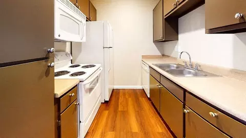 1044 Camino La Costa, Austin, TX 78752 photo 10