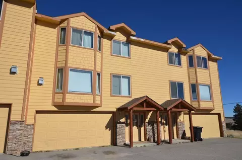 589 Platte Dr, Fairplay, CO 80440