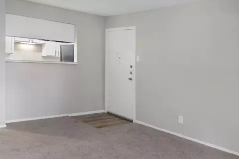 1604 Ridge Haven Dr, Arlington, TX 76011 photo 59