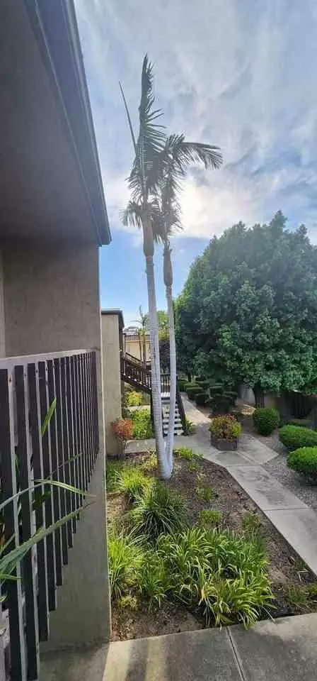 716 Ballantyne St, El Cajon, CA 92021 photo 18