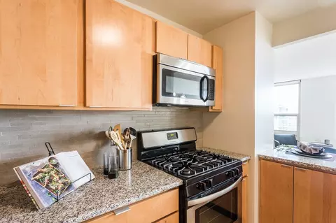 2101 S Michigan Ave, Chicago, IL 60616 photo 3
