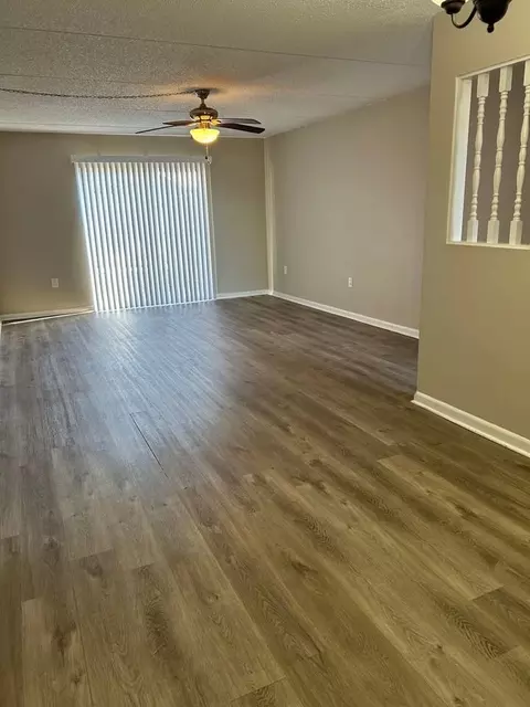 204 E Gottsche Ave, Eustis, FL 32726