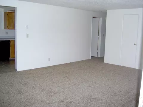 151 Maple St, Junction City, OR 97448 photo 4