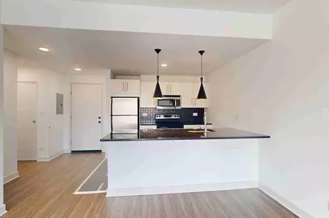 4659 S Drexel Blvd, Chicago, IL 60653 photo 40