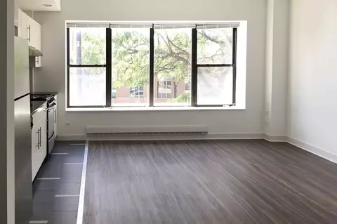 4659 S Drexel Blvd, Chicago, IL 60653 photo 20
