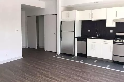 4659 S Drexel Blvd, Chicago, IL 60653 photo 18