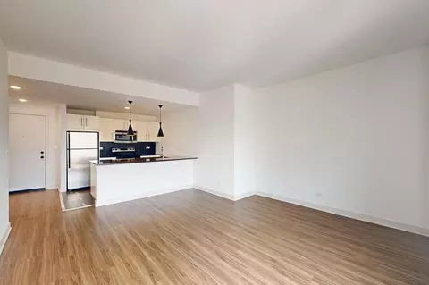 4659 S Drexel Blvd, Chicago, IL 60653 photo 29