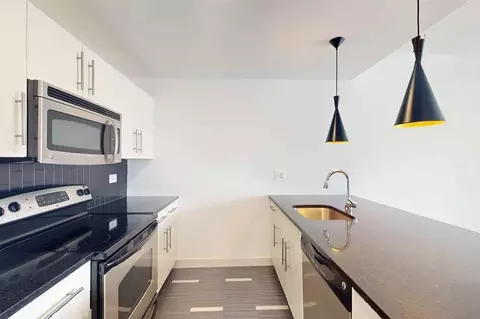4659 S Drexel Blvd, Chicago, IL 60653 photo 34