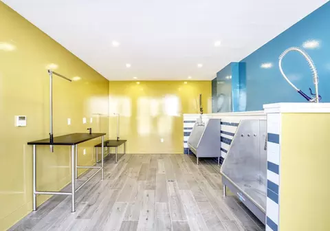 675 Monmouth St, Jersey City, NJ 07310 photo 13