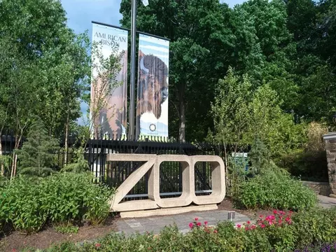 2800 Quebec St NW, Washington, DC 20008 photo 28