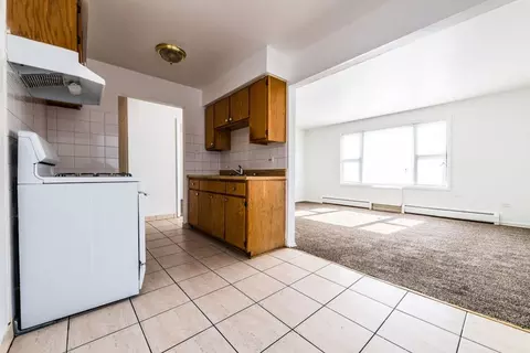 2225 E 87th St, Chicago, IL 60617 photo 6