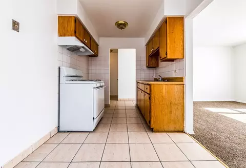 2225 E 87th St, Chicago, IL 60617 photo 5
