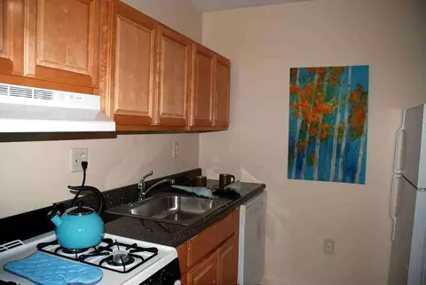 411 E Gibbsboro Rd, Lindenwold, NJ 08021 photo 6