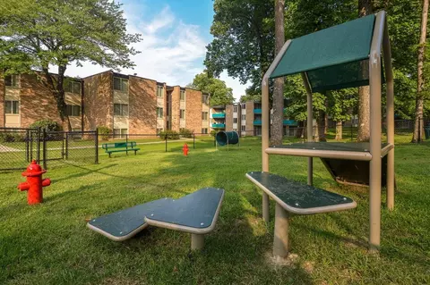 2301 Glenallan Ave, Glenmont, MD 20906 photo 29