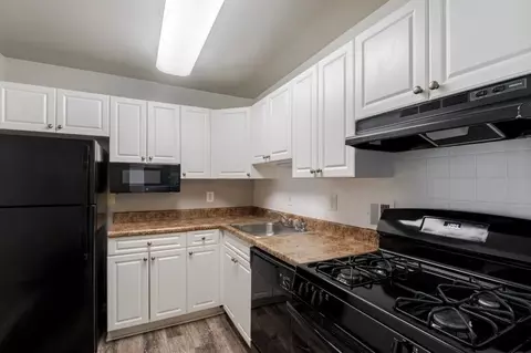 2301 Glenallan Ave, Glenmont, MD 20906 photo 6