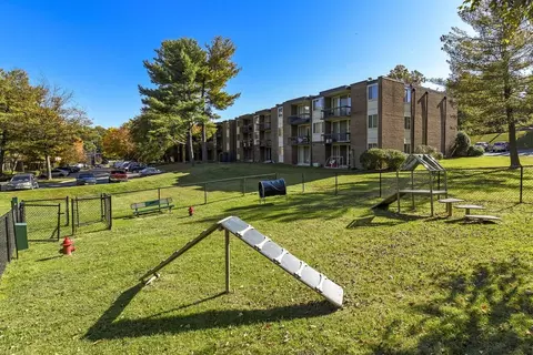 2301 Glenallan Ave, Glenmont, MD 20906 photo 28