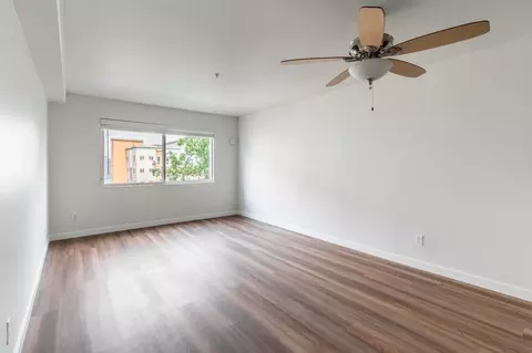11115 NE 2nd St, Bellevue, WA 98004 photo 48