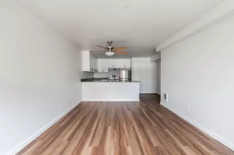 11115 NE 2nd St, Bellevue, WA 98004 photo 54