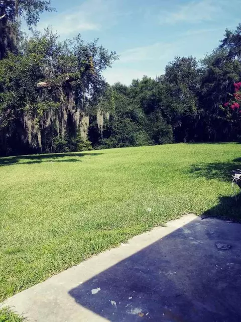 2216 County Road 446, Lake Panasoffkee, FL 33538
