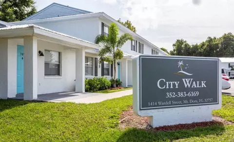 1515 Lincoln Ave, Mount Dora, FL 32757