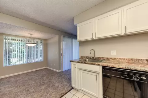 1313 Celeste Dr, Modesto, CA 95355 photo 42