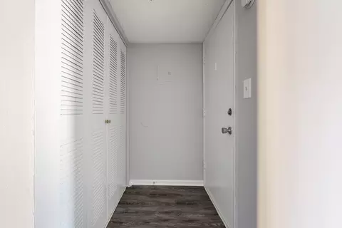 5659 Del Prado Dr, Tampa, FL 33617 photo 87