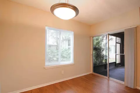 5659 Del Prado Dr, Tampa, FL 33617 photo 36