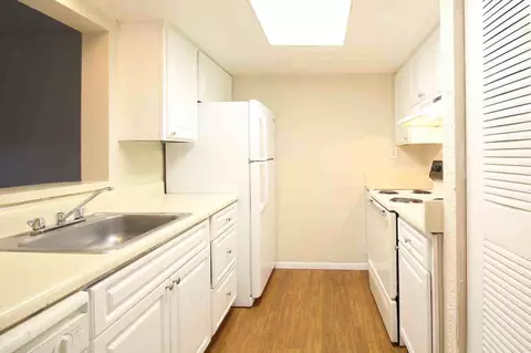 5659 Del Prado Dr, Tampa, FL 33617 photo 38