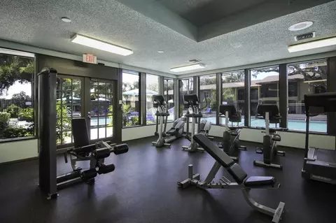 5659 Del Prado Dr, Tampa, FL 33617 photo 32